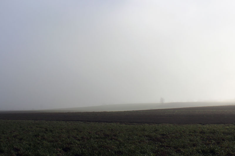 bingelder-bingphod-131211 Fog