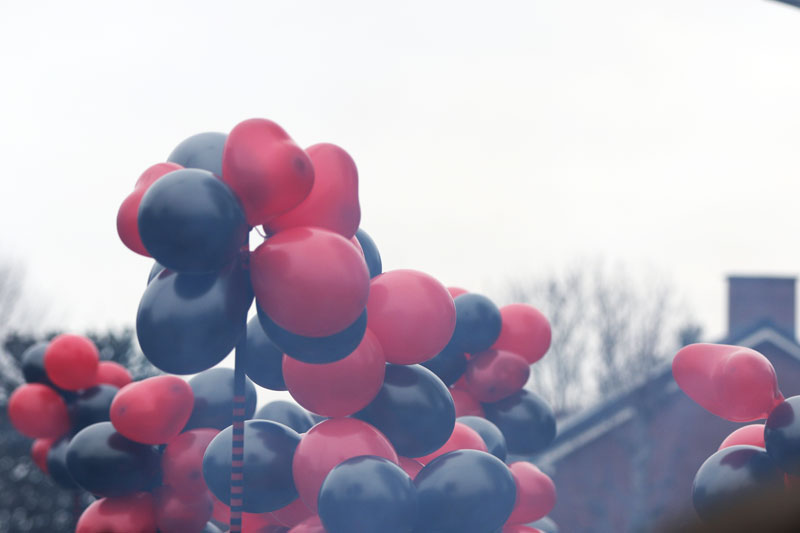 Bingelder.nl carnaval
                          2026